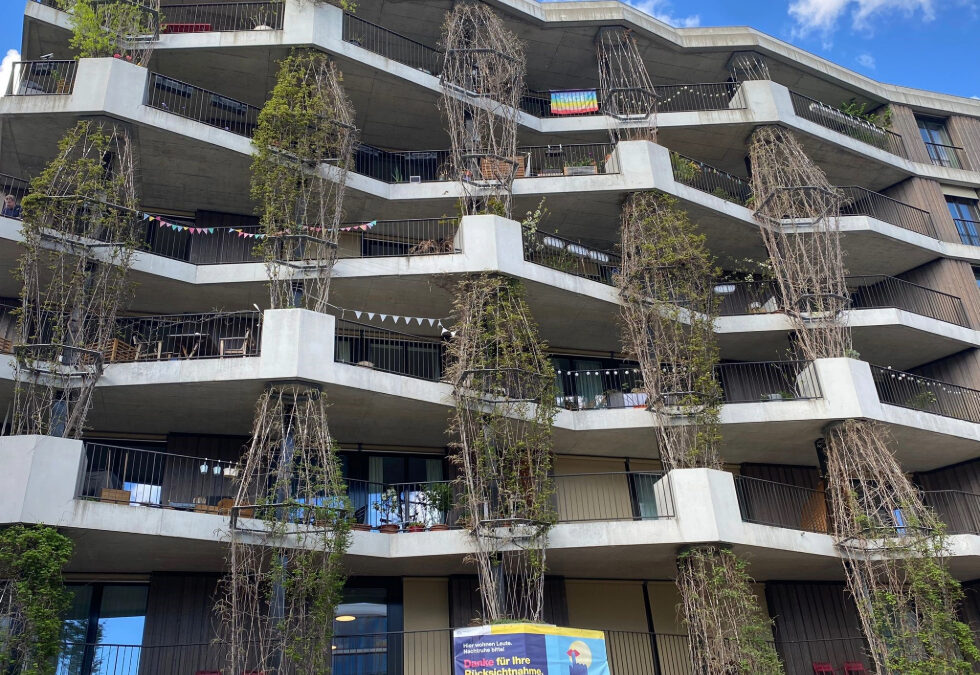 Mach mit: «Phänomena Challenge» – Vertikalbegrünungen von Fassaden